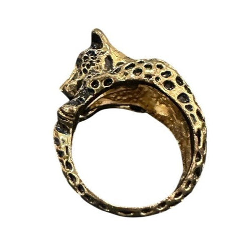 cat ring side view 2