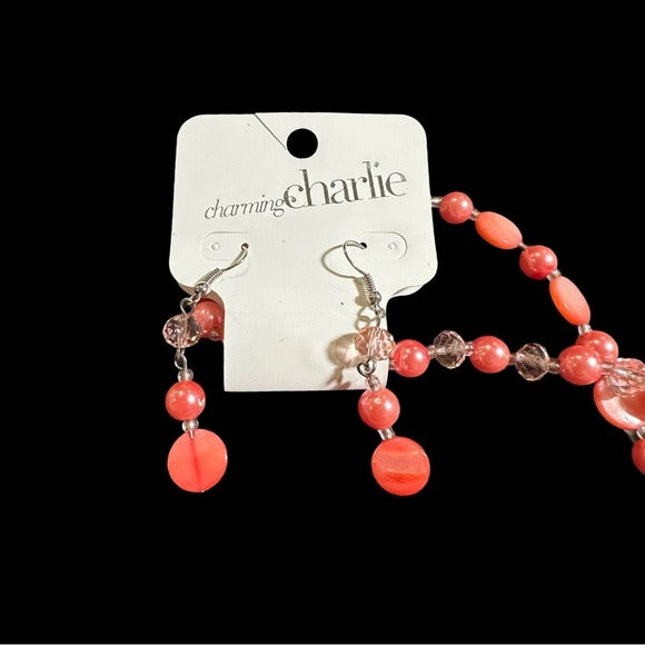 Charming Charlie Necklace Set