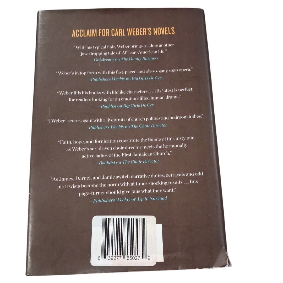 Back cover of a book with text and a barcode on a white background